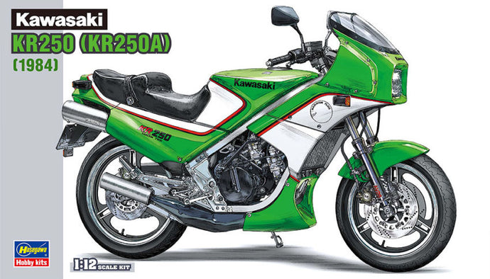 KAWASAKI KR250 (KR250A) KIT 1:12