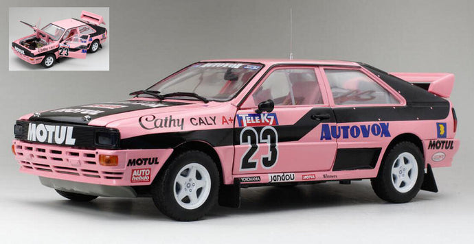 AUDI QUATTRO N.23 FRENCH RALLYCROSS 1987 CATHY CALY 1:18