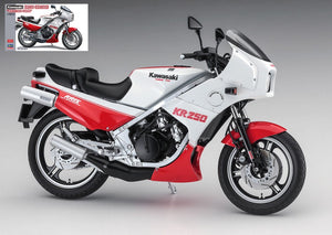KAWASAKI KR250 WHITE/RED COLOR KIT 1:12