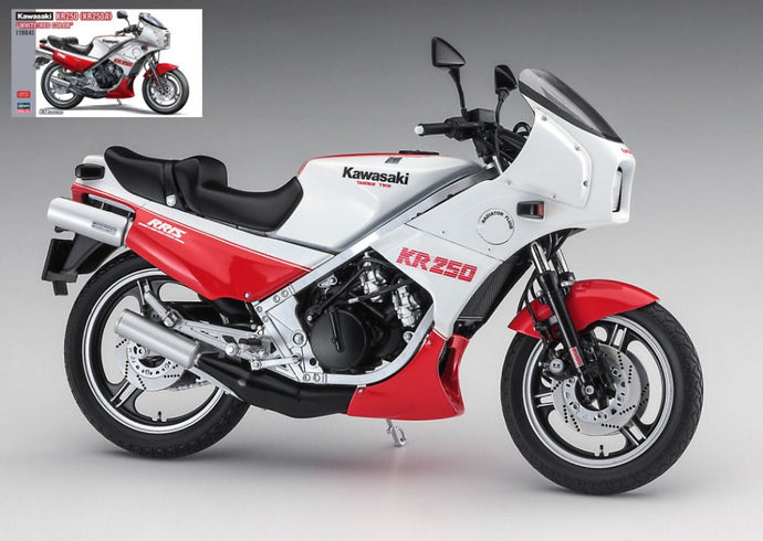 KAWASAKI KR250 WHITE/RED COLOR KIT 1:12