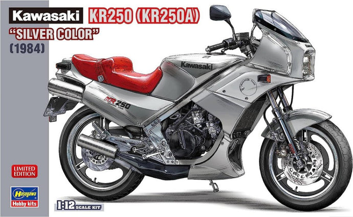 KAWASAKI KR250 SILVER COLOR KIT 1:12