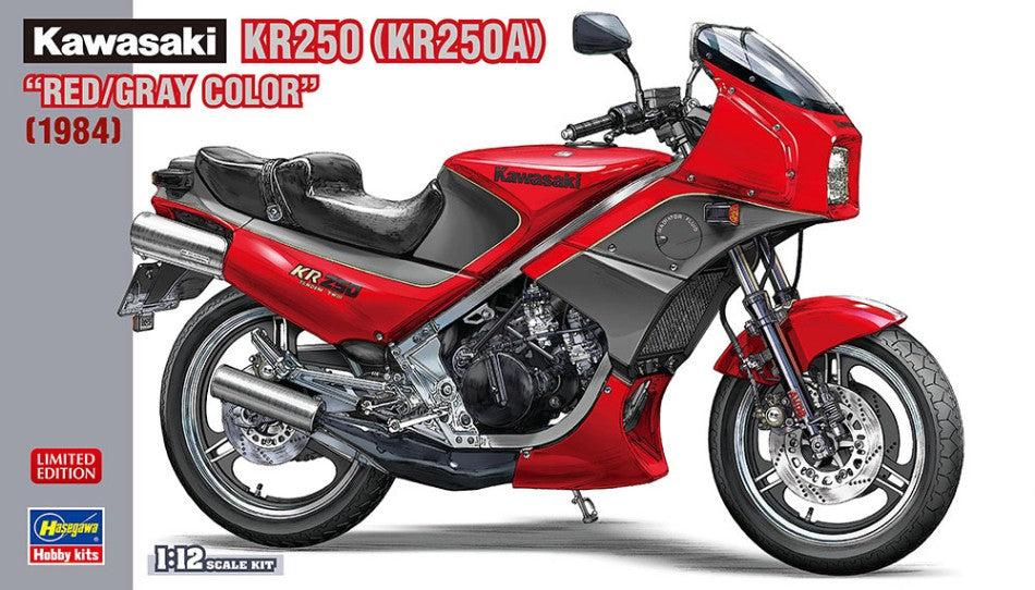 KAWASAKI KR250 KIT 1:12