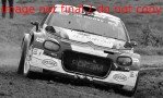 Citroen C3 RALLY2 #9 DE CECCO/HUMBLET RALLYE DU CONDROZ 2021 hvid/grå/grøn 1:43