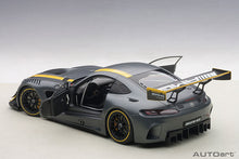 Indlæs billede til gallerivisning 2015 Mercedes-AMG GT3 Presentation Car, grey 1:18